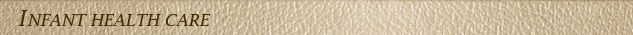 P4429_lc1024ci_t