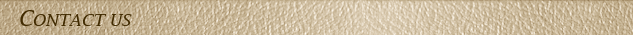 P4431_pg4431wi_t